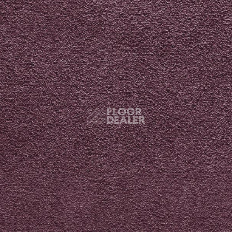 Ковролин Balta Wild Luxury Paddington 86 фото 1 | FLOORDEALER
