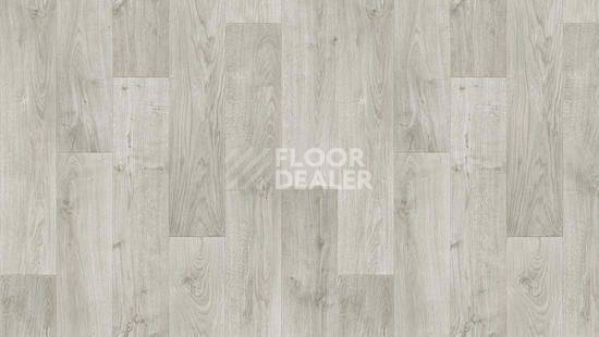 Линолеум Tarkett Stimul RIGARD_4 фото 1 | FLOORDEALER