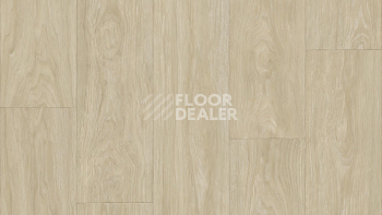 Линолеум Tarkett Club Maximus 1 фото 1 | FLOORDEALER