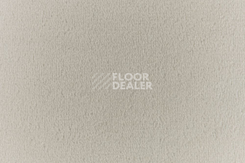 Ковролин Vorwerk Passion 1000/Modena Vorwerk 5v22 фото 1 | FLOORDEALER
