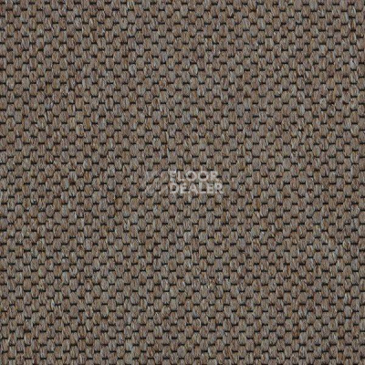 Ковролин Carpet Concept Yve 2 6402 фото 1 | FLOORDEALER