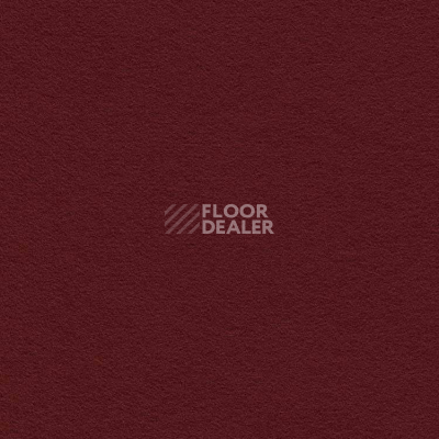 Ковролин Finett Feinwerk 503512 фото 1 | FLOORDEALER