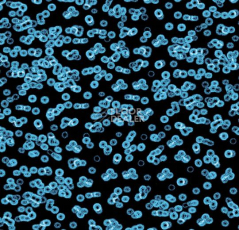Ковролин Forbo Flotex Sottsass Bacteria 990105 фото 1 | FLOORDEALER