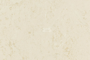 Линолеум Forbo Marmoleum Solid Concrete 3728-372835 Kaolin фото 1 | FLOORDEALER