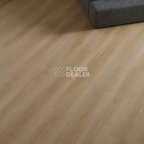 Norland Sigrid Superior 8мм Alda 1008-9 ABA фото 2 | FLOORDEALER