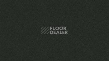 Линолеум Tarkett iq Melodia 2648 фото 1 | FLOORDEALER