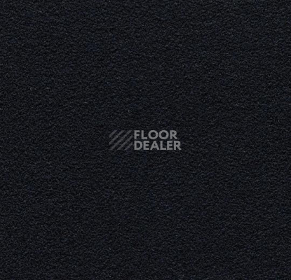 Ковролин Forbo Flotex wonderlab 07 900279 Noir фото 1 | FLOORDEALER