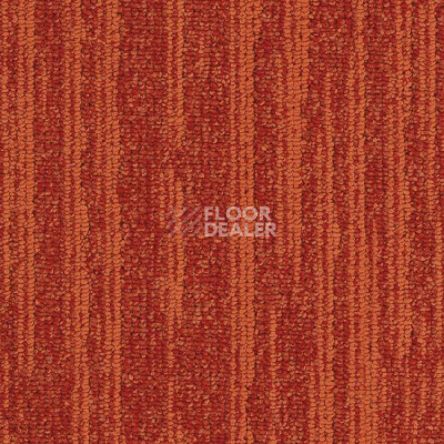 Ковровая плитка Balsan Jungle Planks 450 фото 1 | FLOORDEALER