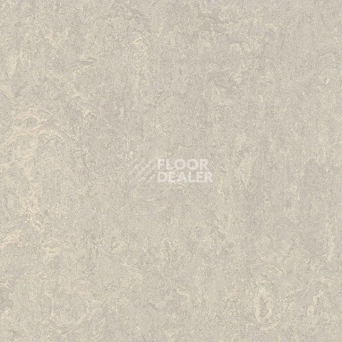 Линолеум Forbo Marmoleum Decibel 313635 concrete фото 1 | FLOORDEALER