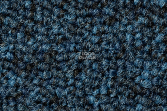 Betap Baltic 84 фото 1 | FLOORDEALER