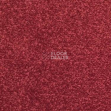 Ковровая плитка Modulyss Cambridge 346 фото 1 | FLOORDEALER