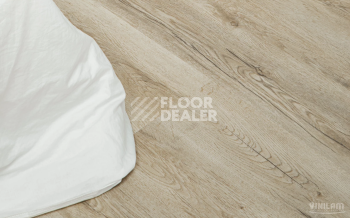 Vinilam Cork Premium Click 8мм 33488 Дуб Валенсия фото 5 | FLOORDEALER
