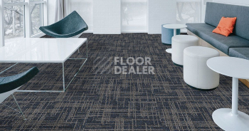 Standard Carpets Casini Casini 557 фото 2 | FLOORDEALER