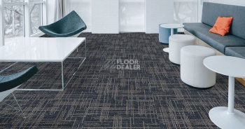 Standard Carpets Casini Casini 557 фото 2 | FLOORDEALER