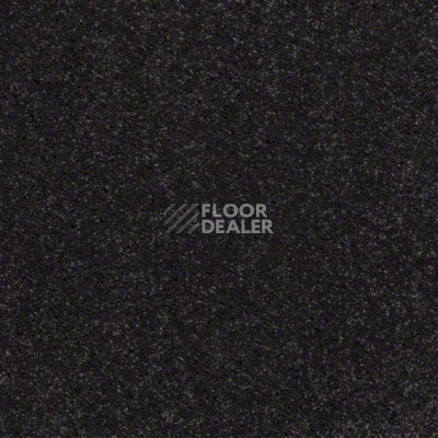 Ковролин Shaw Design Texture Platinum 591 фото 1 | FLOORDEALER