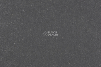 Линолеум Forbo Marmoleum Solid Walton 3368-336835 grey iron фото 1 | FLOORDEALER