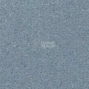 Ковролин Radici Montecarlo 80 фото 1 | FLOORDEALER