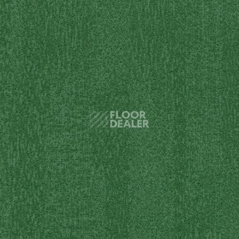 Ковровая плитка Forbo Flotex Colour Penang 50*50 t 382010 Penang Evergreen фото 1 | FLOORDEALER