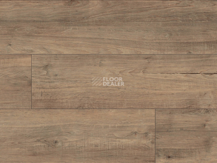 Kronotex Exquisit Plus d40422 Дуб Бодега Коричневый фото 3 | FLOORDEALER