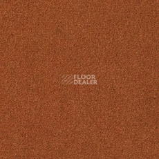 Ковровая плитка Modulyss Uni 313 фото 1 | FLOORDEALER