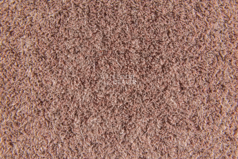 Forbo Flotex Colour s 482016 Penang Coral фото 2 | FLOORDEALER