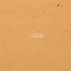 Линолеум Gerflor Colorette 0073 Sand Yellow фото 1 | FLOORDEALER