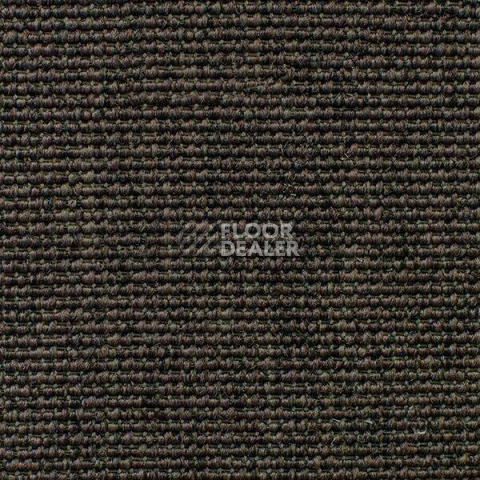 Ковролин Carpet Concept Eco Iqu 60236 фото 1 | FLOORDEALER