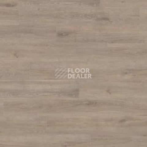 Ламинат Haro Tritty 100 Gran Via 4V ДУБ ВЕНЕТО МОККА 541521 фото 1 | FLOORDEALER