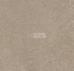 Линолеум Forbo Marmoleum Decibel 325235 sparrow фото 1 | FLOORDEALER