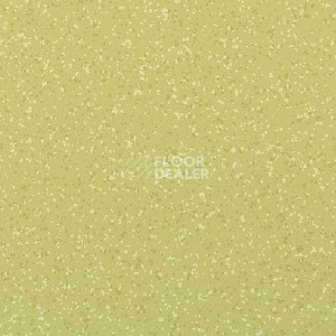 Кварцвиниловые полы Gerflor Attraction Connect 635 x 635 BRAZILIA_8577_Amazonas фото 1 | FLOORDEALER