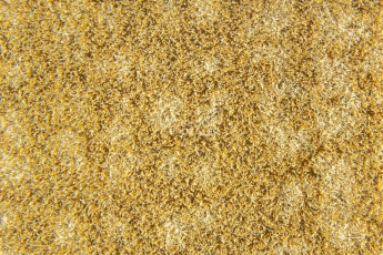 Forbo Flotex Colour Metro 5050 t 546013 Metro Amber фото 2 | FLOORDEALER