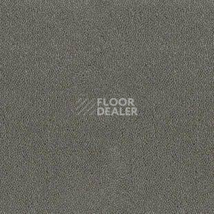 Ковролин Desso Asteranne 9504 фото 1 | FLOORDEALER