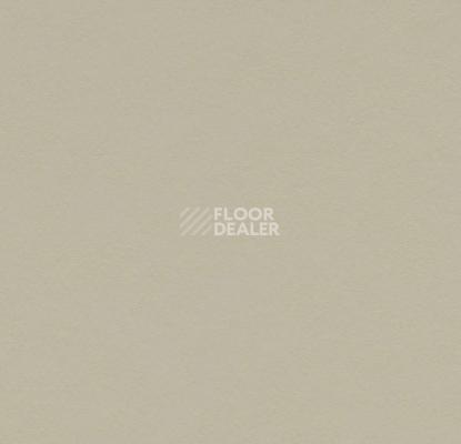 Линолеум Forbo Marmoleum Solid Walton 3378 stucco фото 1 | FLOORDEALER