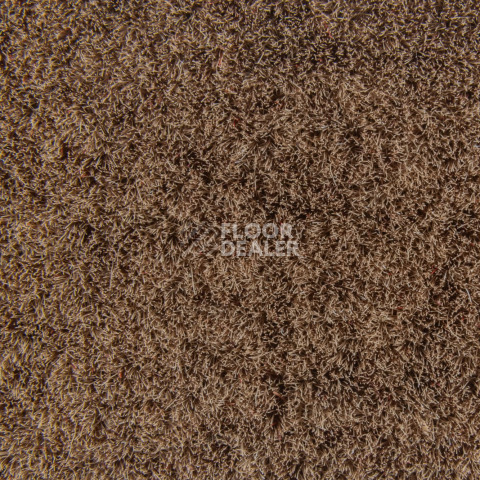 Forbo Flotex Colour Penang 50*50 t 382015 Penang Beige фото 2 | FLOORDEALER