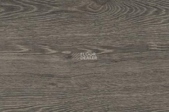 Пробковое покрытие Wood OAK RUSTIC SILVER фото 1 | FLOORDEALER