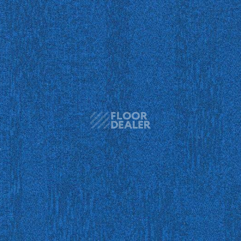 Ковровая плитка Forbo Flotex Colour Penang 50*50 t 382026 Penang Neptune фото 1 | FLOORDEALER