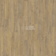 Kronotex Exquisit Plus d6009 Дуб Эльба Природный фото 3 | FLOORDEALER