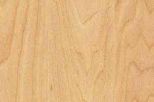 Линолеум Gerflor Taraflex evolution Wood 6381_Maple_design фото  | FLOORDEALER