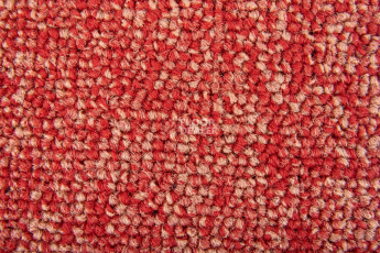 Standard Carpets Spectrum sm 527 фото 2 | FLOORDEALER