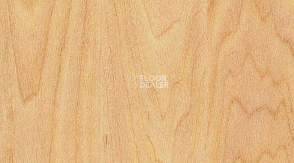 Линолеум Gerflor Taraflex evolution Wood 6381_Maple_design фото 1 | FLOORDEALER