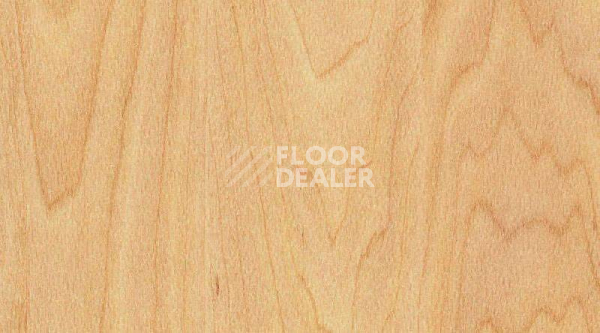 Линолеум Gerflor Taraflex evolution Wood 6381_Maple_design фото 1 | FLOORDEALER