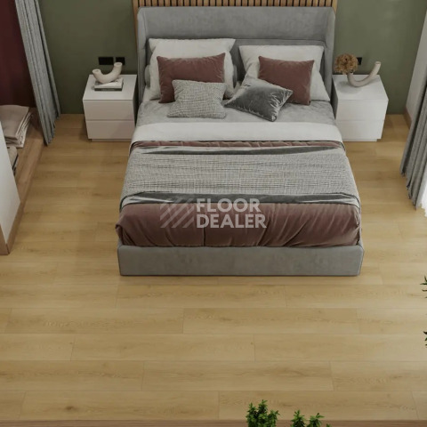 Alpine Floor Eclipse Super Matt 4мм Веро Есо 21-32 фото 3 | FLOORDEALER