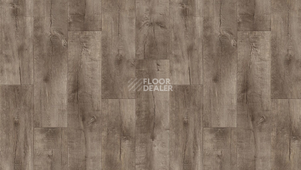 Линолеум Tarkett Idylle Nova Saratoga 7 фото 1 | FLOORDEALER