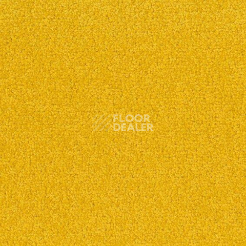 Ковровая плитка Desso Palatino 6208 фото 1 | FLOORDEALER
