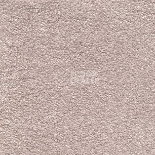 Ковролин AW Invictus Sirius 38 фото 1 | FLOORDEALER