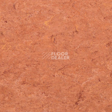 Линолеум Gerflor Marmorette DLW  2mm 0019 Sunset Orange фото 1 | FLOORDEALER