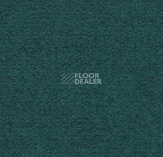 Ковролин Forbo Flotex wonderlab 07 900288 Jade фото 1 | FLOORDEALER
