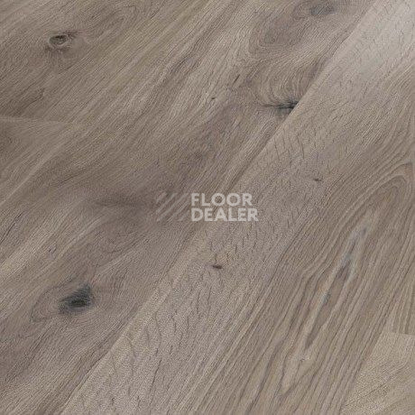 Ламинат Parador Basic Plus 400 1744347 Дуб Базальтовый Серый фото 1 | FLOORDEALER