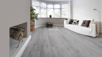 Kronotex Mammut Plus d3670 Дуб Макро Светло-серый фото 5 | FLOORDEALER