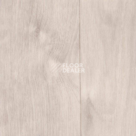 Линолеум Grabo Silver Knight Acoustic 7 1001_384_870 фото 1 | FLOORDEALER
